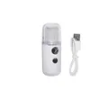 Appareil de pulvérisation USB PORTABLE HYDRATE SPALL MINI NANO HANDY MIST SPIR USB MINI RECHARGable MINI BEAUTY INSTRUMENT EEA16859547312