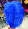 Ostrich Feather Plume Colorful Feathers For Crafts Costume Supplies Table Wedding Birthday Centerpieces 12Colors Choose XD20708