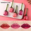 Handaiyan 5 Colors Lip Gloss Moisturizer Rose Mirror 3D Lip Glaze Makeup سهلة ارتداء شحوم دائمة Women Liquid Lipstick Makeup8905397