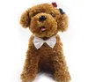 Verstelbare Hond Vlinderdas Nek Accessoire Ketting Kraag Puppy Heldere Kleur Huisdier Boog Mix Kleur Huisdier accessoires GB1605