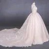 Ivory / White Długie Rękawy Suknia Balowa Koronki Ślubna Dresse Deep V-Line Kaplicy Suknie Ślubne z długim pociągiem
