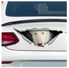 Bull Terrier blanco para coche/parachoques/ventana/calcomanía de pared pegatinas decoración DIY CT11002