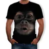 T-shirt da uomo 3D stampato animale scimmia maglietta manica corta design divertente casual supera i t maschio Halloween t shirt266e