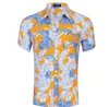Дешевые цена летом гавайские пляж стиль 3d графический ладонь кокосовые дерево цветочные мужчины печатающие повседневные рубашки алохи праздник пляж верхние рубашки 5 шт. / Лот