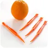 Éplucheur d'oranges 15 cm de long Section Éplucheur d'oranges ou d'agrumes Zesteurs de fruits Outil de cuisine compact et pratique Éplucheur d'oranges EEA1124-1