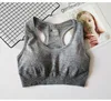 Seamless Sports Bra Shockproof Sexy Gym Bra Women Fitness Sport Push Up Sexy Women Tops Sports