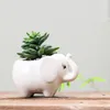 Potenciômetro suculento Flor Cerâmica Hipopótamo Branco Branco Europeu Jardinagem Criativa Plantador Balcão Desktop Potted Animal Decoração de Mesa