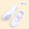 Novo Design Kids Dance Chinelos Adult Professional Canvas Sole Sole Ballet Shoes Meninas Mulheres Crianças Ballet Chinelos