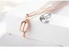 Mode-pil Ketting S925 Sterling Zilver Liefde Antidote Dames Sleutelbeen Ketting