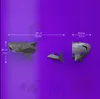 100 cm di squalo dente gigante Novità Articoli grande dormitorio soggiorno portico decorativo mestiere di carta decorazione murale animale marino fai da te