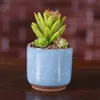 Ice Cracked Ceramic Flower Pot färgglad söt blomkruka för skrivbordsdekoration köttiga krukväxter planterare