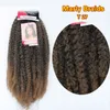 Afro culry Marley Braids Twist Crochet Tressage Couleur des cheveux noir brun blond Ombre Bourgogne Kanekalon Synthétique Kinky Curly Hair Extensions