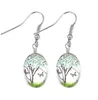 Utsökt örhänge Kvinnor 5 färger Växt torrblomma Dangle Glass Ball Earring Smycken Charm Gift Gratis frakt