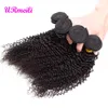 Afro Kinky Krullend Bundels met Sluiting Mongoolse Kinky Krullend Haar Goedkope Menselijk Haar Weave Bundels Remy Menselijk Haarbundels met Sluiting