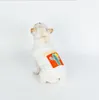 Pet clothes new dog vest comfortable and soft moisture wicking dog clothes cotton cactus vest factory direct sales