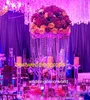 (مع عمود الكريستال الكريستال الكريستال المصنوع من الكريستال، أعمدة حامل الزفاف، Wedding Walkay Best01246