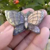 Labradorite Butterfly Estatueta Escultura Rock Stone Gemstone Animal Fetish