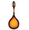 Sunburst 8String Basswood Mandolin Musical Instrument with Rosewood Steel String Mandolin Stringed Instrument Adjustable Bridge9272525