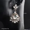 2018 Nieuwste mode Water Drop Crystal Long Drop Earrings vrouwen bruiloft sieraden Clear Bruid Dange oorbellen vakantiegeschenken JCC0586723006