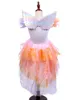 Angel Fairy Rainbow Wings Fant Dress Wing Halloween Wedding Birthday Association Associory DIY الخلفية الديكور