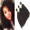 Brésilien Afro Kinky Curly Human Tressage Cheveux 9A 3pcs / lot Pas de trame en vrac pour afro-américain non transformés cheveux noirs naturels