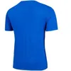 Moda in esecuzione T Shirt da uomo Gym Tshirt Poliestere traspirante Poliestere Asciutto Sport Nuovo Abbigliamento da basket a secco rapido Abbigliamento