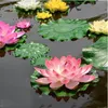 floating water lotus flowers