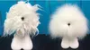 Grooming model dog head mannequin Teddy bear head stand