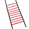 Consegna fresche integrale 5m da 10 milon cinghie di nylon allenamento scale agility scale calcio calcio velocità ladder sportstness equ212m