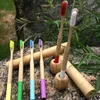 Bamboo toothbrush holder base round handle travel case tube biodegraded multi colors eco friendly hard and soft charcoal bristle