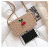 anuschka handbags Kids Purses Newest Korean Cherry Accessories Cute Straw Small Square Bags Fashion Girls Chain Cross Body Bags Birthday Gifts