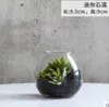 Creative Moss Micro Landschap Eco Fles Simulatie Ingemaakte Desktop Mini Bonsai Office Green Plant Indoor Small Plant