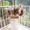Naturalny pampas trawa ślubna Phragmites Reed Bunch Kwiaty suszone trzciny świąteczne domowe dekoracja ślubna bukiet