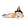 Halloween huisdier heks hoed grappige schattige kostuum hoeden kat hond hoofddeksels party hoeden heks hat feestartikelen puppy katten huisdieren hoeden BH2344 TQQ