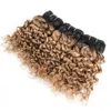 ブラジルの巻き毛の水の波の髪の束1b 27 Ombre Honeyブロンド10 12 14インチ3バンドルレミー人間の髪の伸び卸売