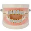 hip hop Denti microintarsiati placcati oro Denti hip hop Grillz Rosa Staffa zircone Grande dente d'oro Gioielli2163806