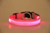 Nylon LED-hundhalsband för hundar Nattsäkerhet Blinkande Glow In The Dark Hundkoppel, Hundar Lysande Fluorescerande Halsband Husdjurstillbehör USB Uppladdningsbar