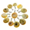Moda abalone shell pingente conjunto natural espiral shell de jóias por atacado