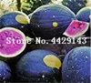 50 PCS Colorido Semelón de Bonsai Semillas de plantas muy fáciles de cultivo en Happy Farm Summer Delicious Bonsai Fre300x