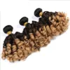 Aunty Funmi Fasci di capelli ricci brasiliani rimbalzanti con chiusure Estensioni dei capelli Ombre Remy 1B427 1B430 Tessuto riccio rimbalzante 5008811