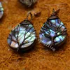 10pairs Rainbow Tree of Life Kolczyki Vingtage Antyczne Brązowe Drut owinięty Water Drop Paua Abalone Shell Kolczyki Moda Handmade Jewellery