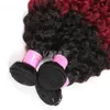 Brésilien Vierge Cheveux Crépus Bouclés Vague VMAE Ombre 1B Bourgogne Rouge Brésilien Cheveux Extension armure Bundles 3 pcs