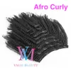 100% capelli peruviani non trattati Afro Kinky Curly 4A 4B 4C Cuticola umana vergine allineata 140g Colore naturale Clip nelle estensioni dei capelli umani