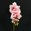 Falso única haste Orchid Simulação real toque de látex do Cymbidium Flores para Casamento Casa Flor artificial decorativa