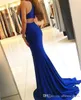 Sexy Royal New Blue Mermaid Evening Jewel Neck High Side Split Floor Length Open Back Formal Prom Dresses Celebrity Party Gowns