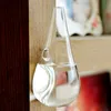 Wall-mounted Water Drop Shape Glass Vase Garden Hydroponice Plants Flower Potoffice or other place. It helps beautify and purify your house
