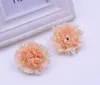Decorative Flowers Artificial Silk Flowers Carnation Flower Heads For Home Garden/ Wedding Party Decoration GB728