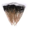 Dunkle Wurzel # 1B / 27 Honigblond Ombre Indische Jungfrau-Menschenhaar-Webart-Bündel mit hellbraunem Ombre 13x4 Lace Frontal Closure 4Pcs Lot