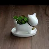 Seramik Pot Etli Ekici Drenaj Delikli Köpek Şekli Beyaz Yavru Küçük Masaüstü Dekoratif Ev ve Bahçe Dekor