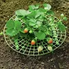 Plant support Planters Strawberry Planting Rack Fruit Supports Plants Climbing Vine Props Flower Pillar Gardening Bracket agricult6598578